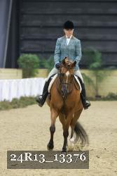 24R13_13376 thumbnail