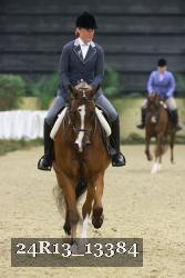 24R13_13384 thumbnail
