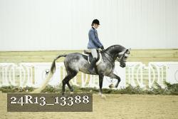 24R13_13388 thumbnail