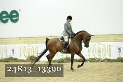 24R13_13390 thumbnail