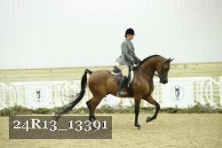 24R13_13391 thumbnail