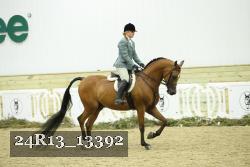 24R13_13392 thumbnail