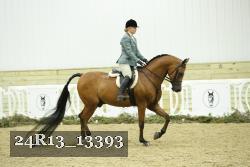 24R13_13393 thumbnail