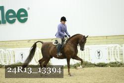 24R13_13394 thumbnail