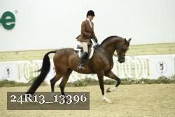24R13_13396 thumbnail