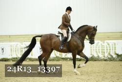 24R13_13397 thumbnail