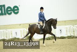 24R13_13398 thumbnail