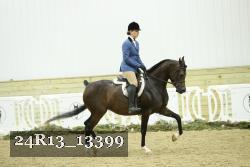 24R13_13399 thumbnail