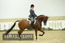 24R13_13402 thumbnail