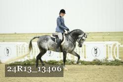 24R13_13406 thumbnail