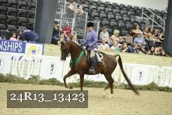 24R13_13423 thumbnail