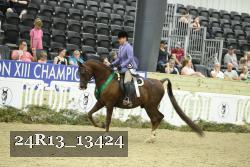 24R13_13424 thumbnail