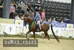 24R13_13425 thumbnail