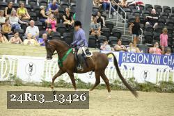 24R13_13426 thumbnail