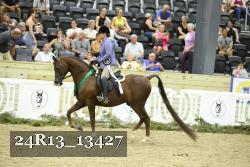 24R13_13427 thumbnail