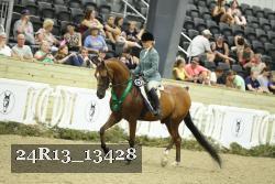 24R13_13428 thumbnail