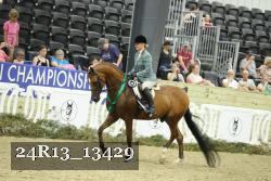 24R13_13429 thumbnail