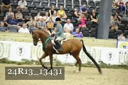 24R13_13431 thumbnail