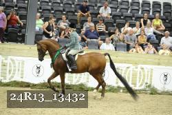 24R13_13432 thumbnail