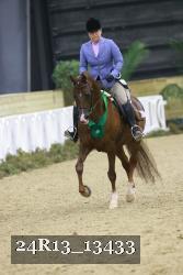 24R13_13433 thumbnail