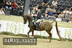 24R13_13435 thumbnail