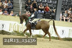 24R13_13436 thumbnail
