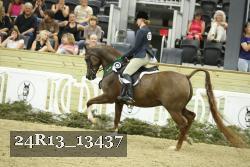 24R13_13437 thumbnail