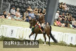 24R13_13439 thumbnail