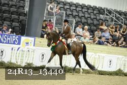 24R13_13440 thumbnail