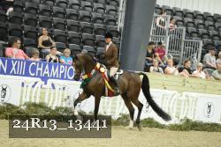 24R13_13441 thumbnail