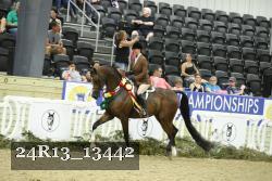 24R13_13442 thumbnail