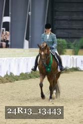 24R13_13443 thumbnail