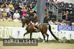 24R13_13445 thumbnail