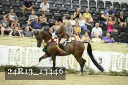 24R13_13446 thumbnail