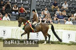 24R13_13447 thumbnail