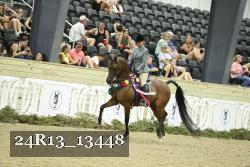24R13_13448 thumbnail