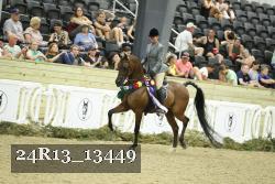 24R13_13449 thumbnail