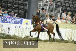 24R13_13451 thumbnail