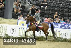 24R13_13453 thumbnail