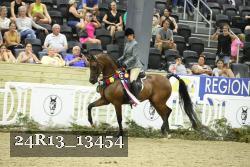 24R13_13454 thumbnail