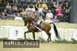 24R13_13455 thumbnail
