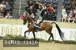 24R13_13456 thumbnail