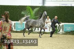24R13_13463 thumbnail