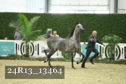 24R13_13464 thumbnail