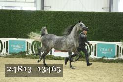 24R13_13465 thumbnail