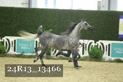 24R13_13466 thumbnail