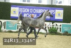 24R13_13467 thumbnail