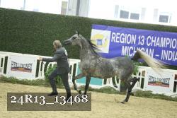 24R13_13468 thumbnail