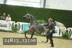 24R13_13469 thumbnail