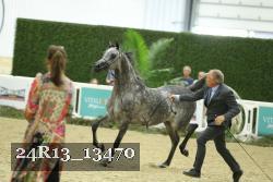 24R13_13470 thumbnail